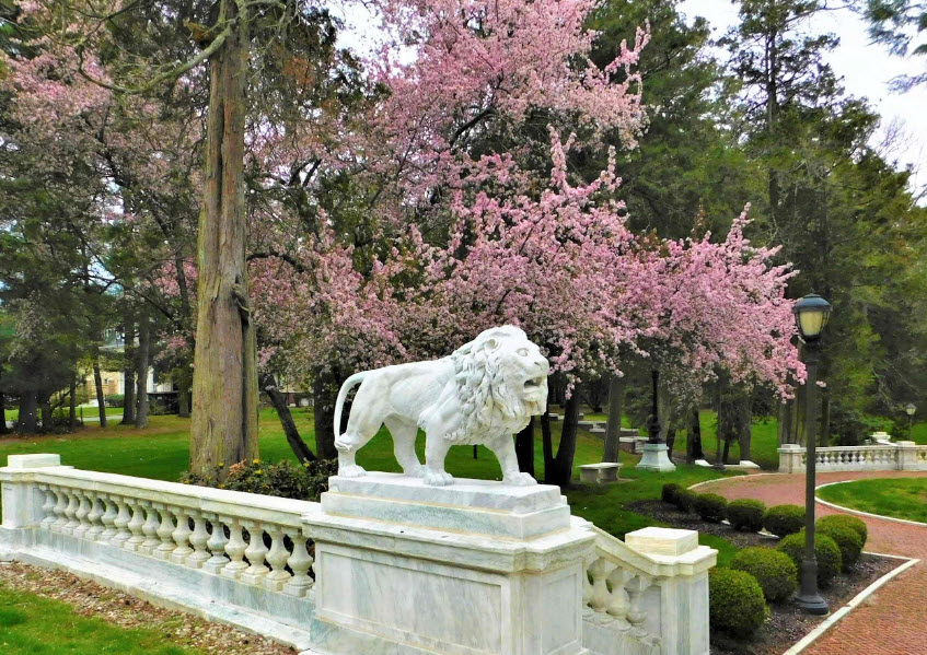 Sister Mary Grace Burns Arboretum, United States